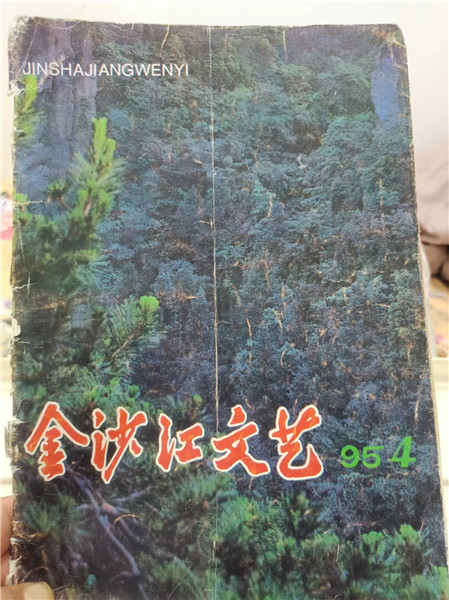 第一篇小說《小鳥》發表在1995年第4期《金沙江文藝》